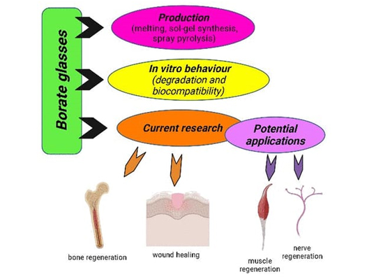 Applications-of-Borate-Glasses