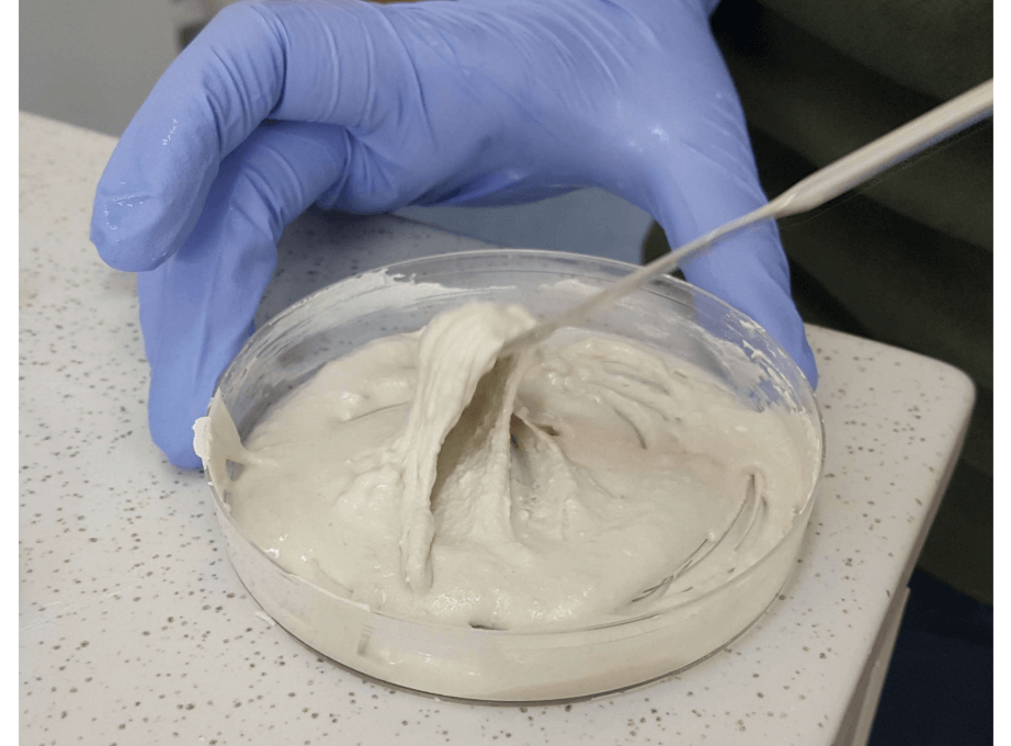 Injectable-bone-substitutes